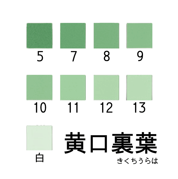 新岩絵具 黄口裏葉
