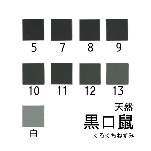 天然岩絵具 黒口鼠