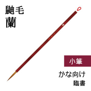 a00031