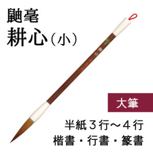 a00154-s