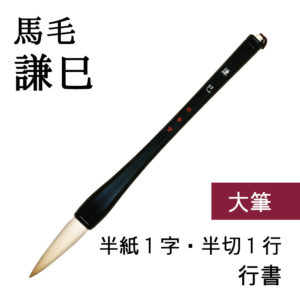 a00155